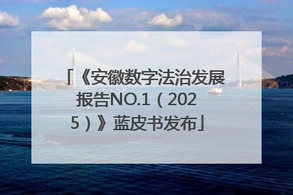 《安徽数字法治发展报告NO.1（2025）》蓝皮书发布