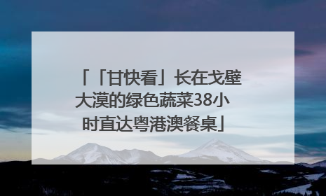 「甘快看」长在戈壁大漠的绿色蔬菜38小时直达粤港澳餐桌