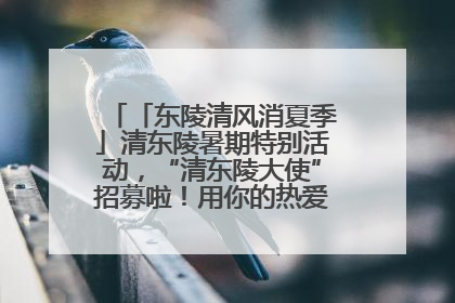 「东陵清风消夏季」清东陵暑期特别活动，“清东陵大使”招募啦！用你的热爱守护世界遗产！