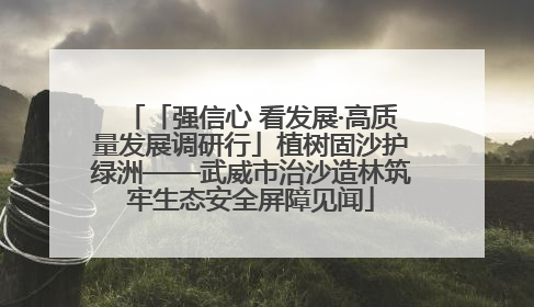 「强信心 看发展·高质量发展调研行」植树固沙护绿洲——武威市治沙造林筑牢生态安全屏障见闻