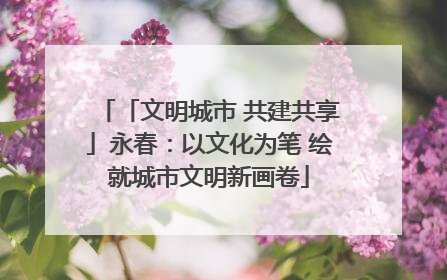 「文明城市 共建共享」永春：以文化为笔 绘就城市文明新画卷