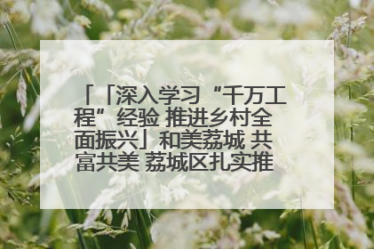 「深入学习“千万工程”经验 推进乡村全面振兴」和美荔城 共富共美 荔城区扎实推进乡村振兴工作