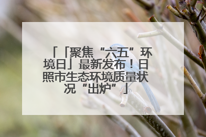 「聚焦“六五”环境日」最新发布！日照市生态环境质量状况“出炉”