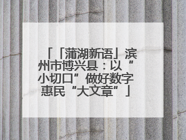 「蒲湖新语」滨州市博兴县：以“小切口”做好数字惠民“大文章”