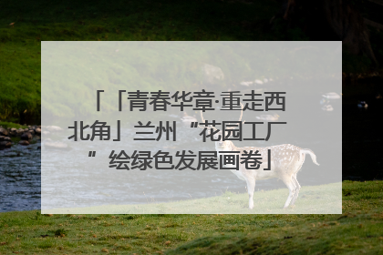 「青春华章·重走西北角」兰州“花园工厂”绘绿色发展画卷