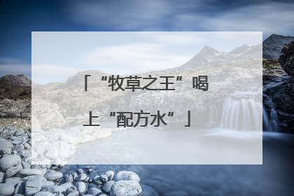 “牧草之王”喝上“配方水”