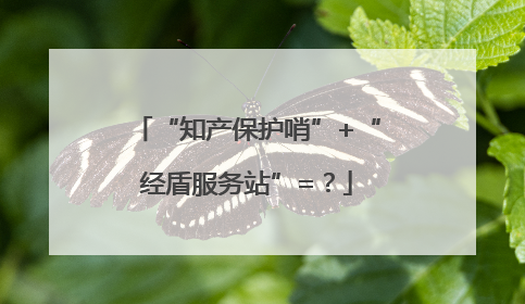 “知产保护哨”+“经盾服务站”=？