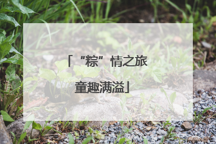“粽”情之旅 童趣满溢