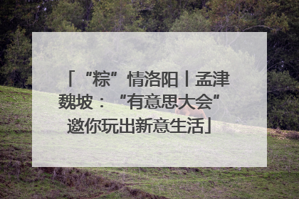 “粽”情洛阳丨孟津魏坡：“有意思大会”邀你玩出新意生活