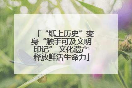“纸上历史”变身“触手可及文明印记” 文化遗产释放鲜活生命力