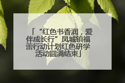 “红色书香润，爱伴成长行”凤城镇福蕾行动计划红色研学活动圆满结束