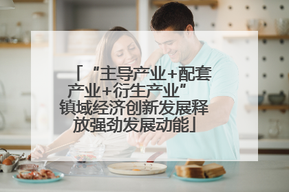 “主导产业+配套产业+衍生产业” 镇域经济创新发展释放强劲发展动能