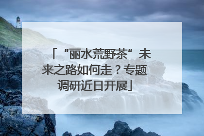 “丽水荒野茶”未来之路如何走？专题调研近日开展