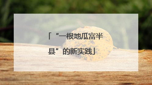 “一根地瓜富半县”的新实践