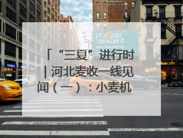 “三夏”进行时｜河北麦收一线见闻（一）：小麦机收减损“竞技” 农机高手麦田“过招”