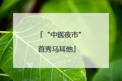 “中医夜市”首秀马耳他