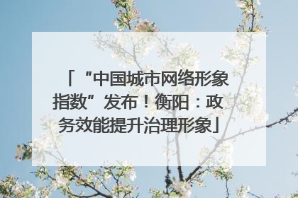 “中国城市网络形象指数”发布！衡阳：政务效能提升治理形象