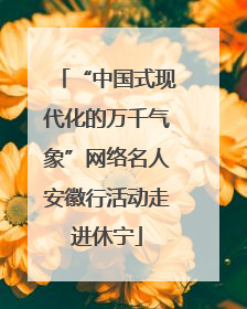 “中国式现代化的万千气象”网络名人安徽行活动走进休宁