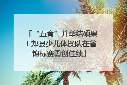“五育”并举结硕果！郏县少儿体操队在省锦标赛勇创佳绩