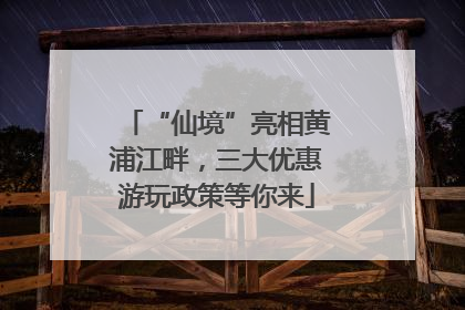 “仙境”亮相黄浦江畔，三大优惠游玩政策等你来