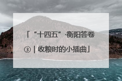 “十四五”·衡阳答卷③｜收粮时的小插曲