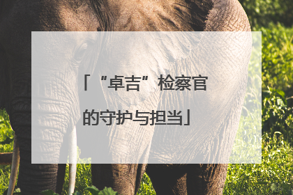 “卓吉”检察官的守护与担当