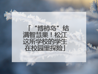 “博柿岛”结满智慧果！松江这所学校的学生在校园里探险