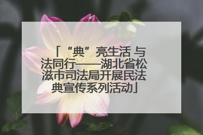 “典”亮生活 与法同行——湖北省松滋市司法局开展民法典宣传系列活动