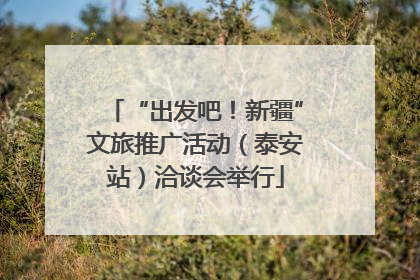 “出发吧！新疆”文旅推广活动（泰安站）洽谈会举行