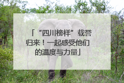 “四川榜样”载誉归来！一起感受他们的温度与力量
