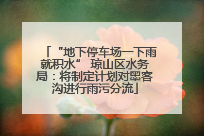 “地下停车场一下雨就积水” 琼山区水务局：将制定计划对墨客沟进行雨污分流