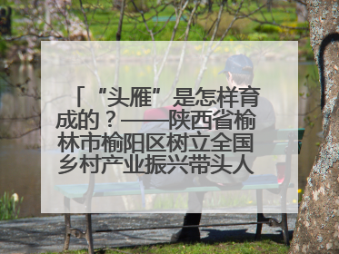 “头雁”是怎样育成的？——陕西省榆林市榆阳区树立全国乡村产业振兴带头人培育标杆