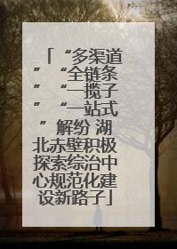 “多渠道”“全链条”“一揽子”“一站式”解纷 湖北赤壁积极探索综治中心规范化建设新路子