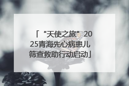 “天使之旅”2025青海先心病患儿筛查救助行动启动