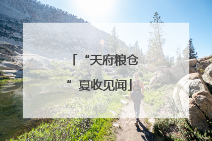 “天府粮仓”夏收见闻