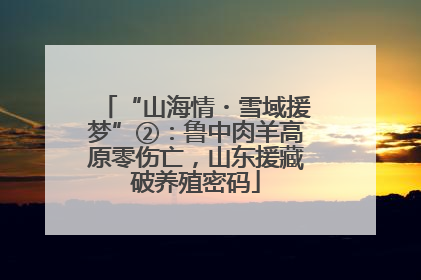 “山海情・雪域援梦”②：鲁中肉羊高原零伤亡，山东援藏破养殖密码