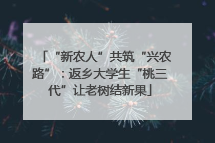 “新农人”共筑“兴农路”：返乡大学生“桃三代”让老树结新果