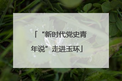 “新时代党史青年说”走进玉环