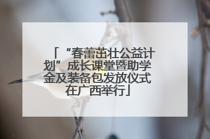 “春蕾茁壮公益计划”成长课堂暨助学金及装备包发放仪式在广西举行