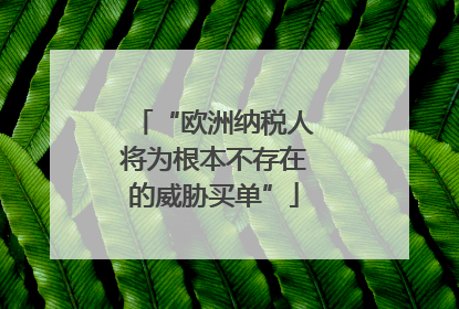 “欧洲纳税人将为根本不存在的威胁买单”