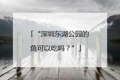 “深圳东湖公园的鱼可以吃吗？”