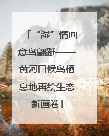 “湿”情画意鸟翩跹——黄河口候鸟栖息地再绘生态新画卷