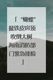 “蝴蝶”掀铁皮房顶吹倒大树 海南消防部门紧急排险