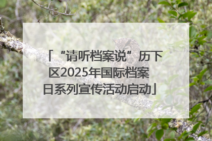 “请听档案说”历下区2025年国际档案日系列宣传活动启动