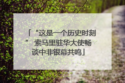 “这是一个历史时刻” 索马里驻华大使畅谈中非银幕共鸣