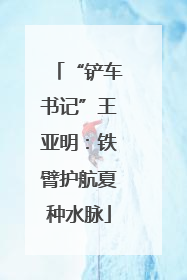 “铲车书记”王亚明：铁臂护航夏种水脉