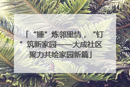 “锤”炼邻里情，“钉”筑新家园——大成社区聚力共绘家园新篇