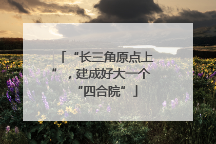 “长三角原点上”，建成好大一个“四合院”