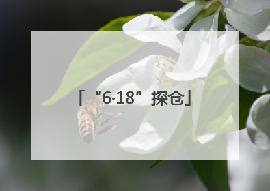 “6·18”探仓