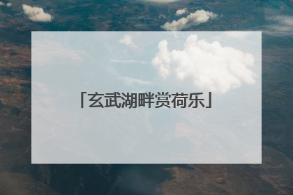 玄武湖畔赏荷乐